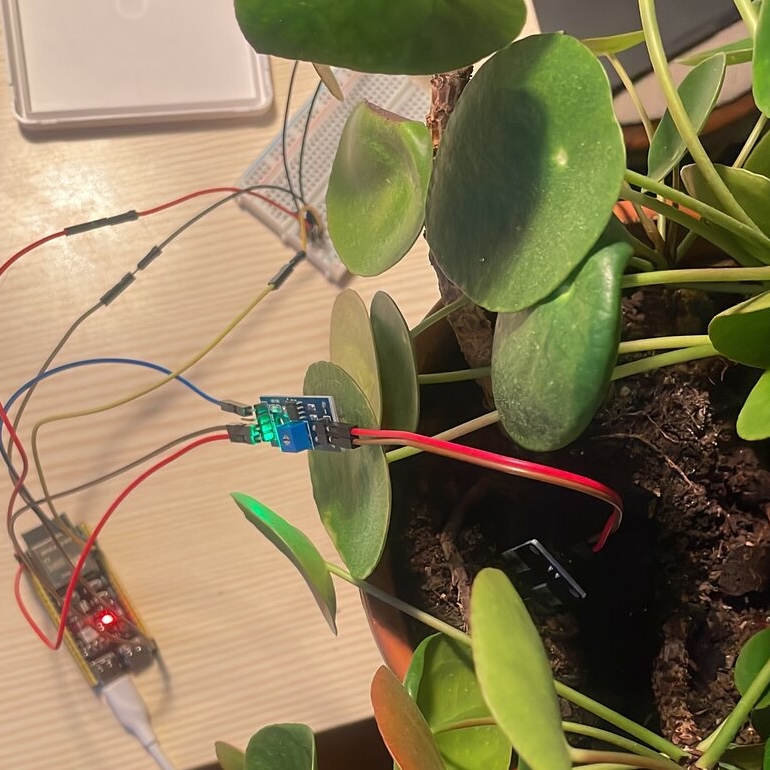The soil moisture and light sensors wired into the actual plant pot